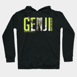 Genji - Overwatch Hoodie